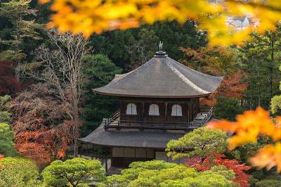 Những ngôi chùa đẹp và quyến rũ nhất Nhật Bản